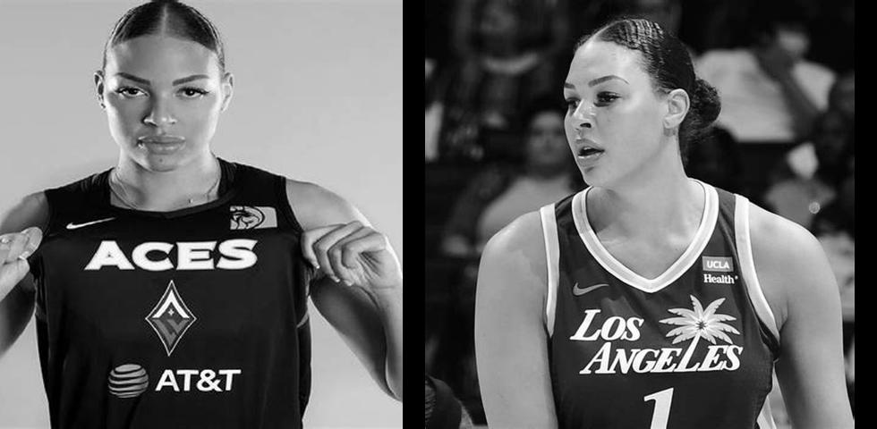 What is Liz Cambage's Net Worth? Discover the Path to a Basketball Star ...