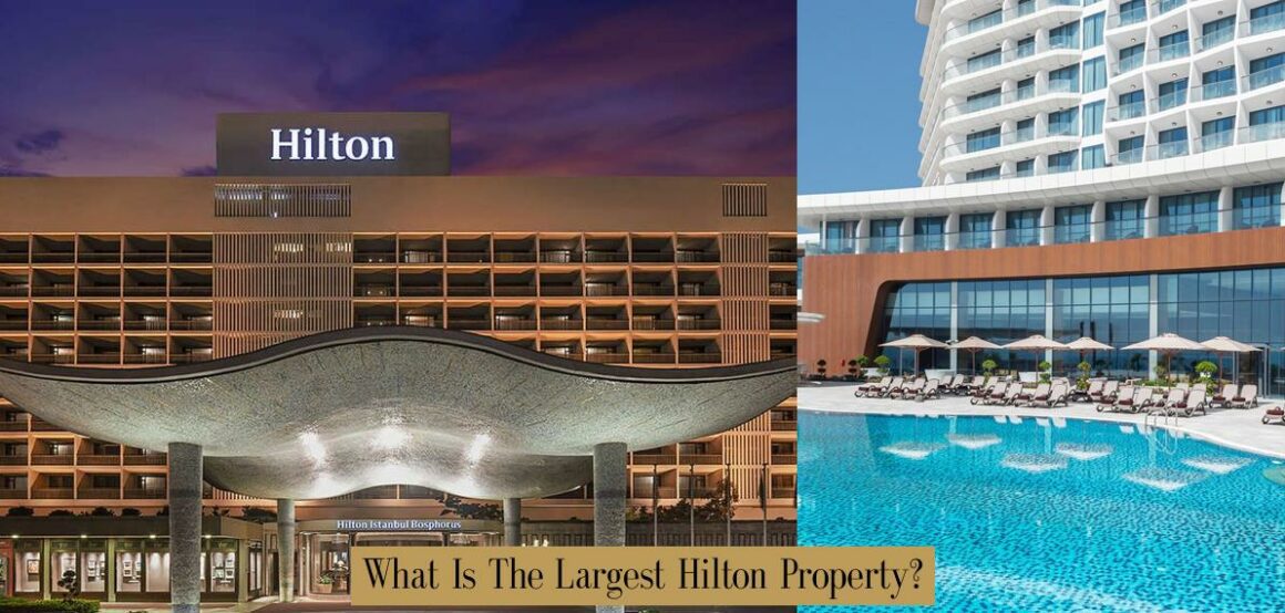 What Is The Largest Hilton Property? - Atlas Singularity — Money 